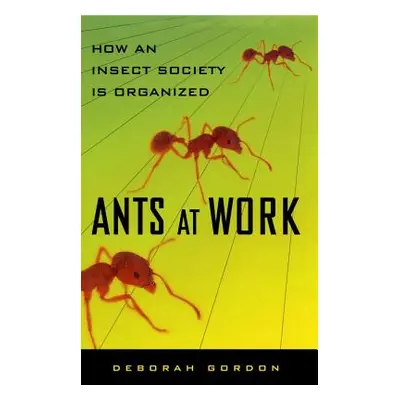 "Ants at Work: How an Insect Society Is Organized" - "" ("Gordon Deborah")(Paperback)