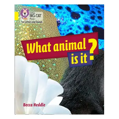 "What Animal is It?" - "Band 03/Yellow" ("Heddle Becca")(Paperback / softback)