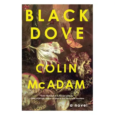 "Black Dove" - "" ("McAdam Colin")(Paperback)