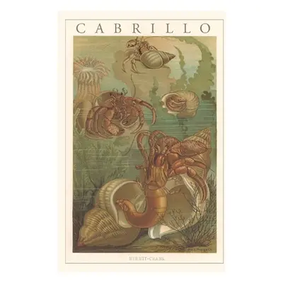 "Vintage Journal Cabrillo, Hermit Crabs" - "" ("Found Image Press")(Paperback)