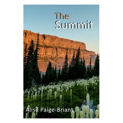 "The Summit" - "" ("Paige-Briant Alise")(Paperback)