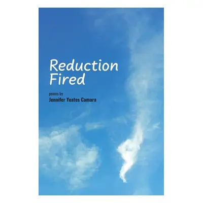 "Reduction Fired: concise, quiet, and intense poems voiced over vibrant scenes of nature - refle