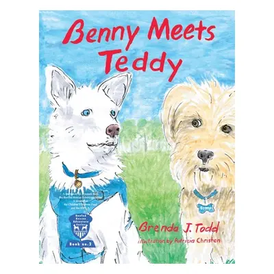 "Benny Meets Teddy: BenTed Rescue Adventure Series Book II" - "" ("Todd Brenda")(Paperback)