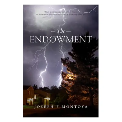 "The Endowment" - "" ("Montoya Joseph F.")(Paperback)