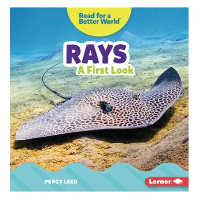 "Rays: A First Look" - "" ("Leed Percy")(Paperback)