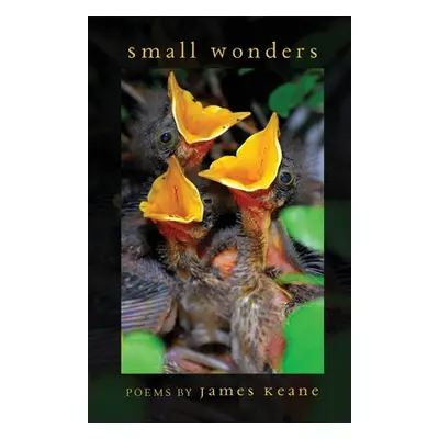 "Small Wonders" - "" ("Keane James")(Paperback)