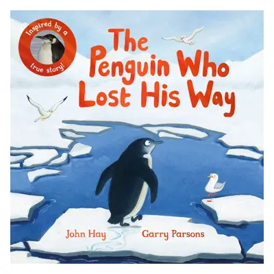 "Penguin Who Lost His Way" - "Inspired by a True Story" ("Hay John")(Paperback / softback)