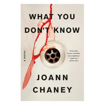 "What You Don't Know" - "" ("Chaney Joann")(Paperback)