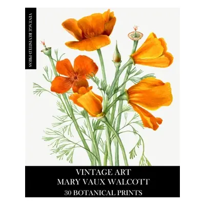 "Vintage Art: Mary Vaux Walcott 30 Botanical Prints" - "" ("Press Vintage Revisited")(Paperback)