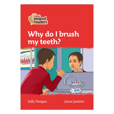 "Level 5 - Why do I brush my teeth?" - "" ("Morgan Sally")(Paperback / softback)