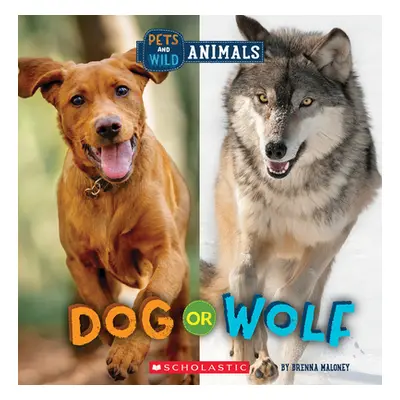 "Dog or Wolf (Wild World: Pets and Wild Animals)" - "" ("Maloney Brenna")(Paperback)