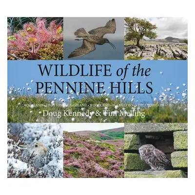 "Wildlife of the Pennine Hills: Moorland: Limestone: Grassland: Woodland: Blanket Bog: Upland He