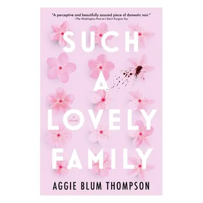 "Such a Lovely Family" - "" ("Thompson Aggie Blum")(Paperback)