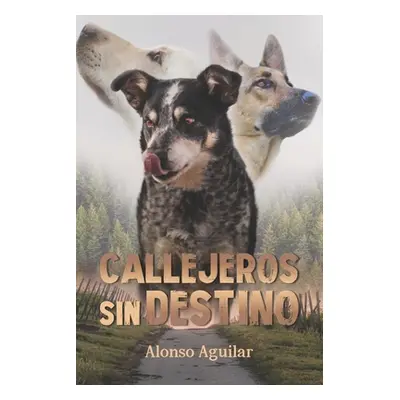 "Callejeros sin destino" - "" ("Aguilar Alonso")(Paperback)