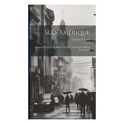 "Sud-Amrique: Sjours Et Voyages Au Brsil, La Plata, Au Chili, En Bolivie Et Au Prou" - "" ("Urs