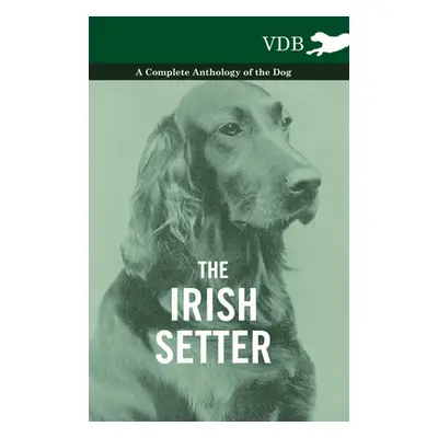 "The Irish Setter - A Complete Anthology of the Dog" - "" ("Various")(Paperback)