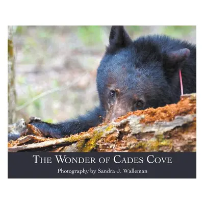 "The Wonder of Cades Cove" - "" ("Walleman Sandra J.")(Pevná vazba)