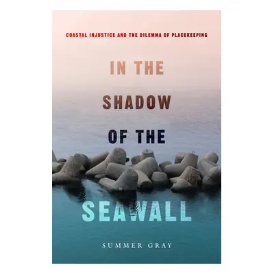 "In the Shadow of the Seawall: Coastal Injustice and the Dilemma of Placekeeping" - "" ("Gray Su