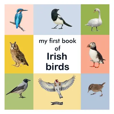 "My First Book of Irish Birds" - "" ("The O'Brien Press")(Pevná vazba)