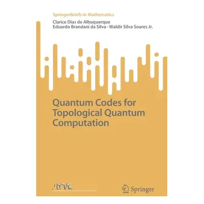 "Quantum Codes for Topological Quantum Computation" - "" ("Albuquerque Clarice Dias de")(Paperba