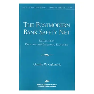 "The Postmodern Bank Safety Net: Lessons from Developed and Developing Economies