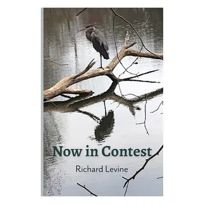 "Now in Contest" - "" ("Levine Richard")(Paperback)