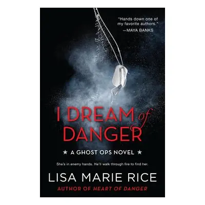 "I Dream of Danger" - "" ("Rice Lisa Marie")(Paperback)