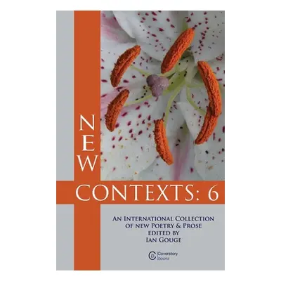 "New Contexts: 6" - "" ("Gouge Ian")(Paperback)