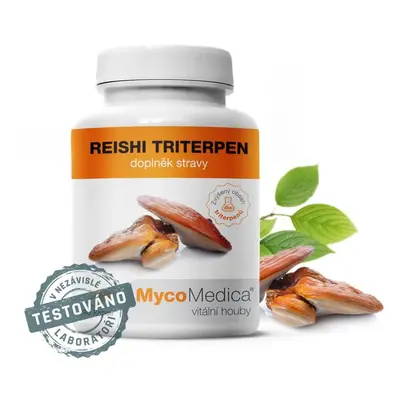 MycoMedica Reishi triterpen 90 cps. - MycoMedica