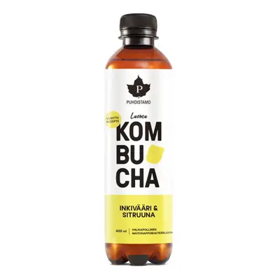 Puhdistamo Kombucha BIO 400ml (zázvor a citrón) - Puhdistamo