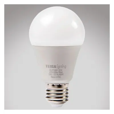 LED žárovka Bulb 12W E27 6500K