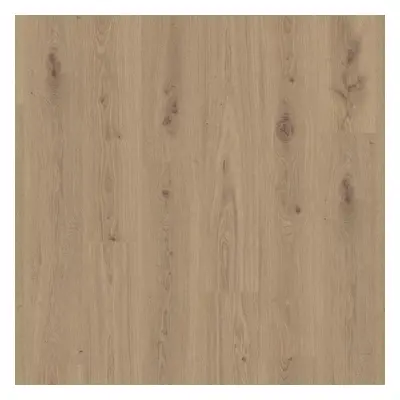 Vinylová podlaha LVT Delicate Oak Chesnut 4,5mm 0,30mm Starfloor 30