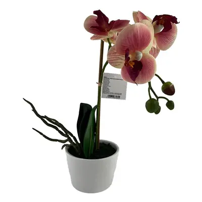 Orchidej - mix 3 barev 30 cm