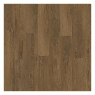 Vinylová podlaha LVT RIGID Dub Anubis 4mm 0,3mm Ancient