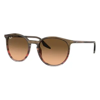 Ray-Ban RB2204 13953B - M (51)