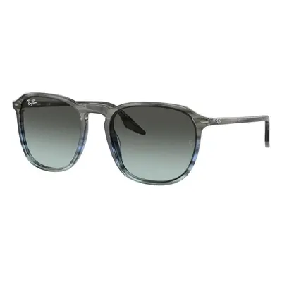 Ray-Ban RB2203 1391GK - L (55)