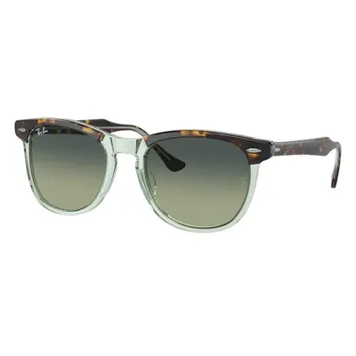 Ray-Ban Eagleeye RB2398 1376BH - M (53)