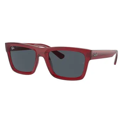 Ray-Ban Warren RB4396 667987 - M (54)