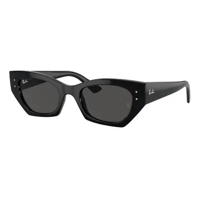 Ray-Ban RB4430 667787 - M (49)