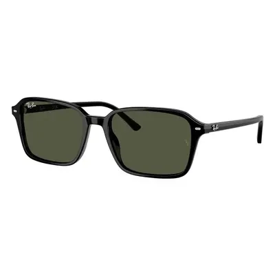 Ray-Ban RB2231 901/31 - M (56)