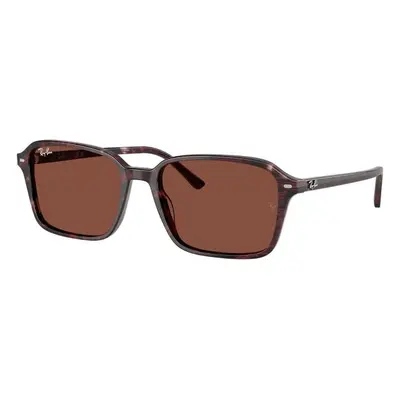 Ray-Ban RB2231 1416C5 - M (56)