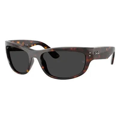 Ray-Ban RB2289 902/48 Polarized - L (63)