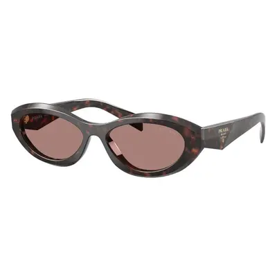 Prada PR26ZS 17N60B - ONE SIZE (55)