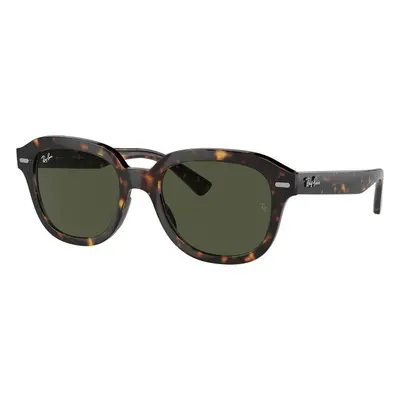 Ray-Ban Erik RB4398 902/31 - M (51)