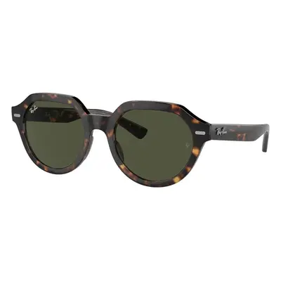 Ray-Ban Gina RB4399 902/31 - M (51)