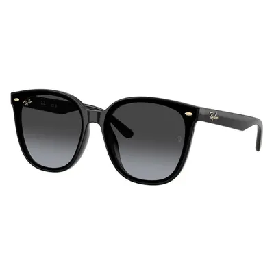 Ray-Ban RB4423D 68078G - ONE SIZE (66)