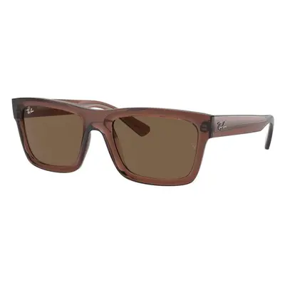 Ray-Ban Warren RB4396 667873 - M (54)