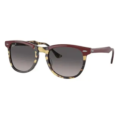 Ray-Ban Eagleeye RB2398 1377M3 - M (53)