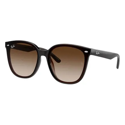 Ray-Ban RB4423D 714/13 - ONE SIZE (66)