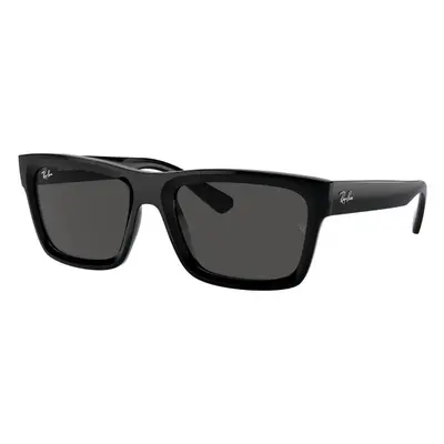 Ray-Ban Warren RB4396 667787 - M (54)